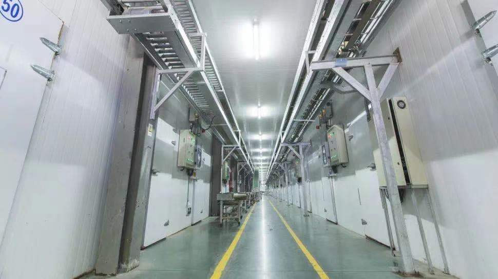 下面講解了建設(shè)冷庫(kù)的要求以及設(shè)計(jì)的注意事項(xiàng)